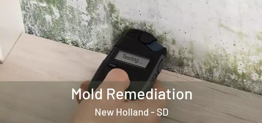  Mold Remediation New Holland - SD