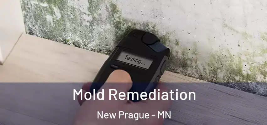  Mold Remediation New Prague - MN