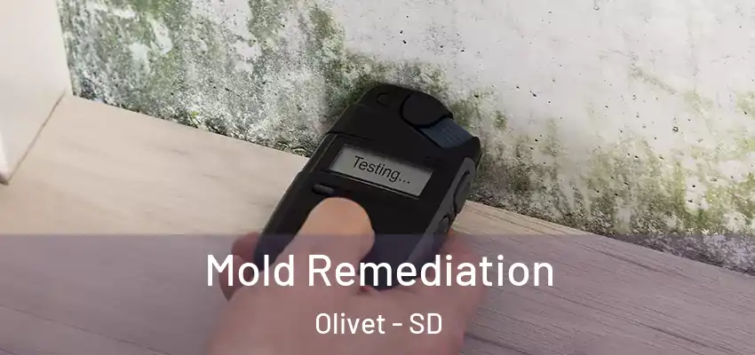  Mold Remediation Olivet - SD