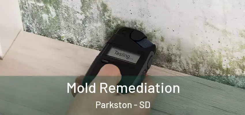  Mold Remediation Parkston - SD