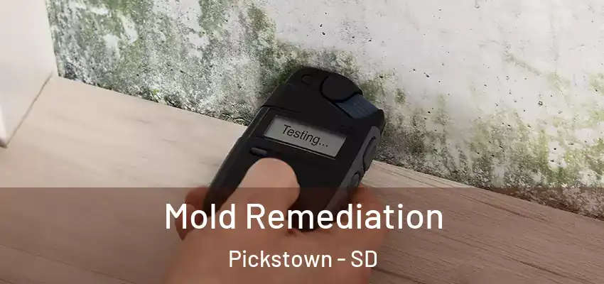  Mold Remediation Pickstown - SD