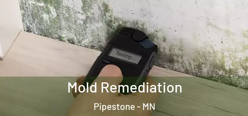 Mold Remediation Pipestone - MN