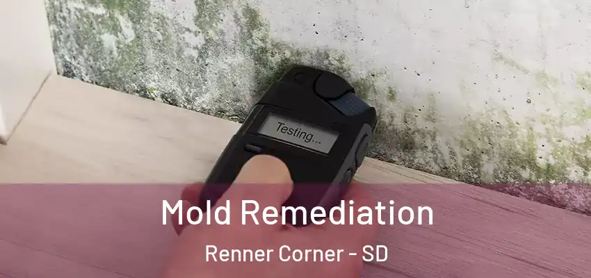  Mold Remediation Renner Corner - SD