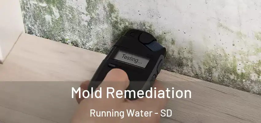  Mold Remediation Running Water - SD