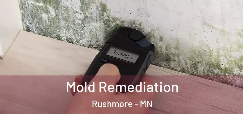 Mold Remediation Rushmore - MN