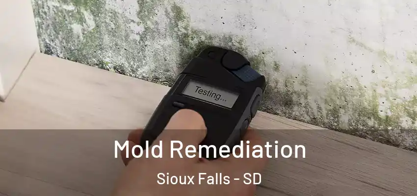 Mold Remediation Sioux Falls - SD