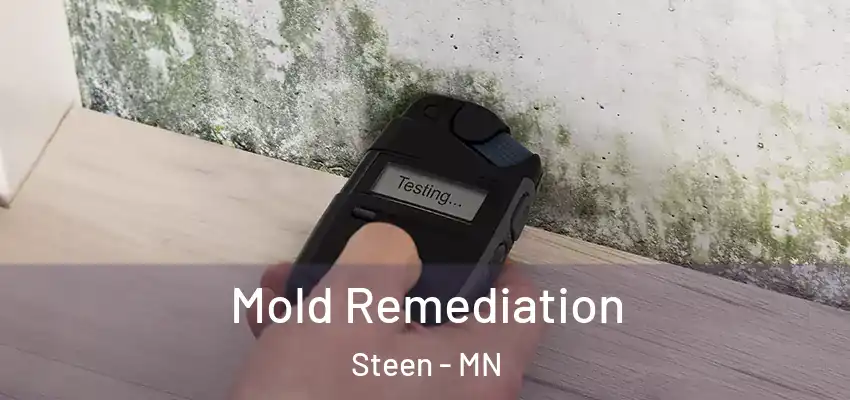  Mold Remediation Steen - MN