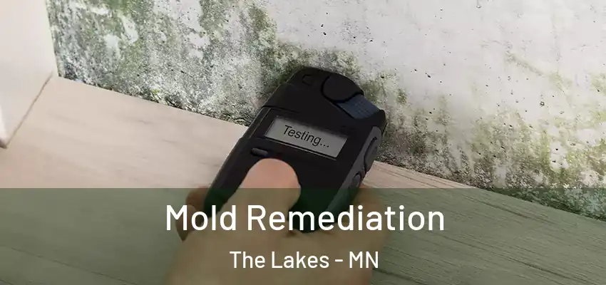  Mold Remediation The Lakes - MN