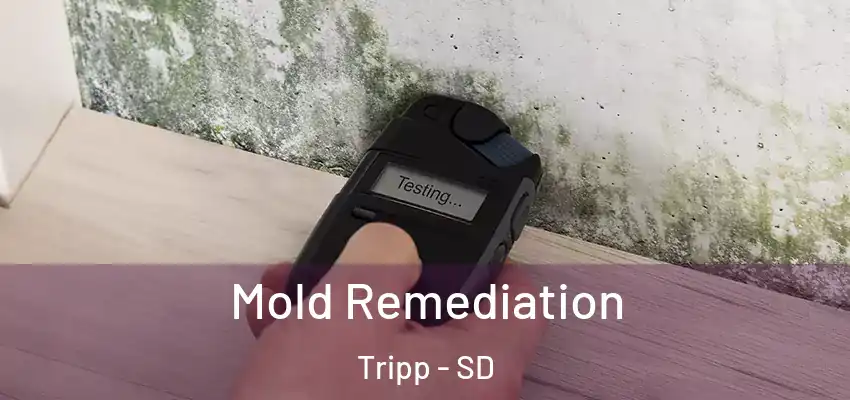  Mold Remediation Tripp - SD