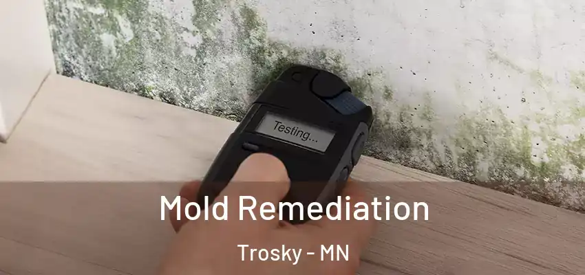  Mold Remediation Trosky - MN