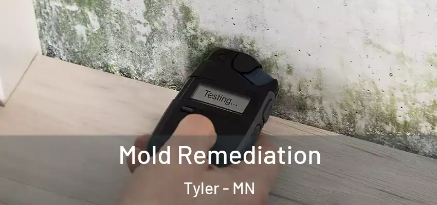  Mold Remediation Tyler - MN