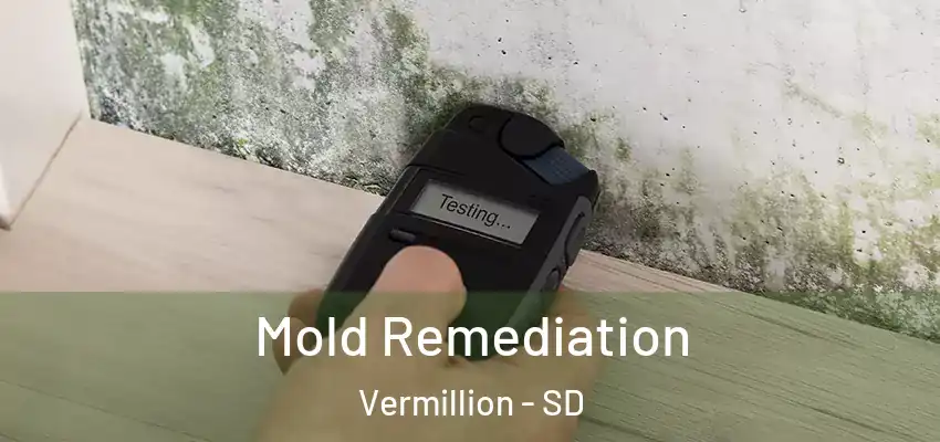 Mold Remediation Vermillion - SD