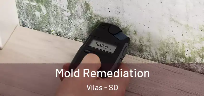 Mold Remediation Vilas - SD