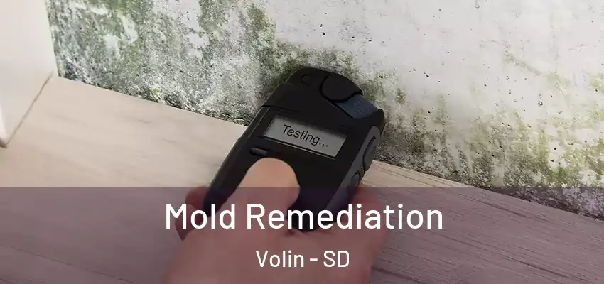 Mold Remediation Volin - SD