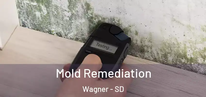 Mold Remediation Wagner - SD