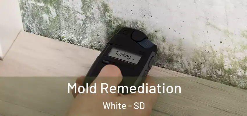  Mold Remediation White - SD
