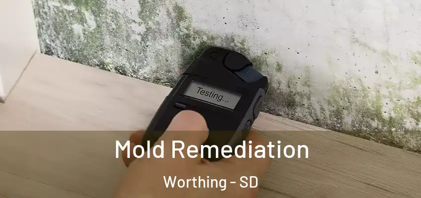 Mold Remediation Worthing - SD