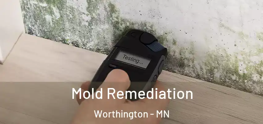  Mold Remediation Worthington - MN