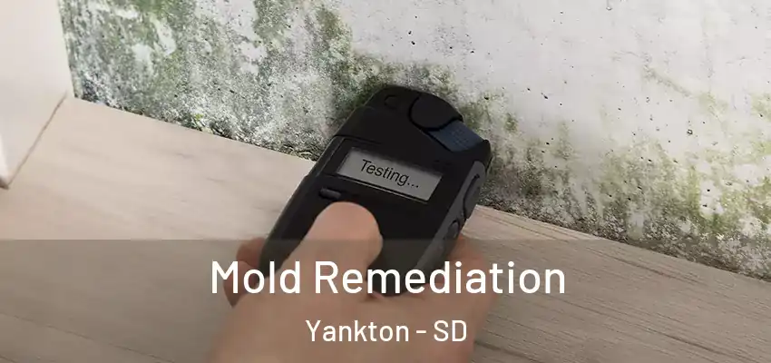 Mold Remediation Yankton - SD