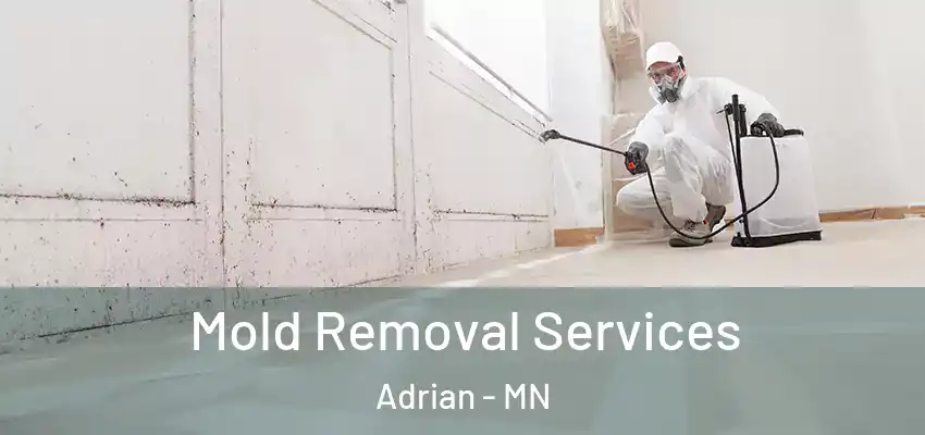 Mold Removal Services Adrian - MN