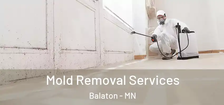  Mold Removal Services Balaton - MN
