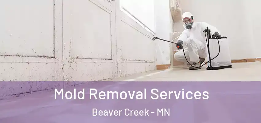 Mold Removal Services Beaver Creek - MN