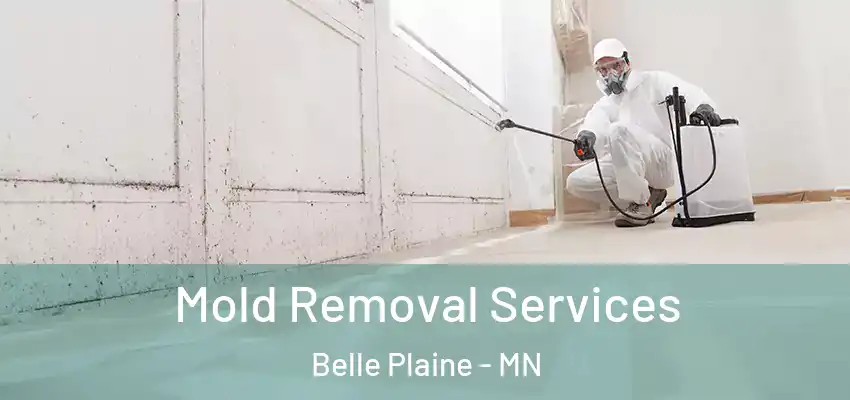 Mold Removal Services Belle Plaine - MN