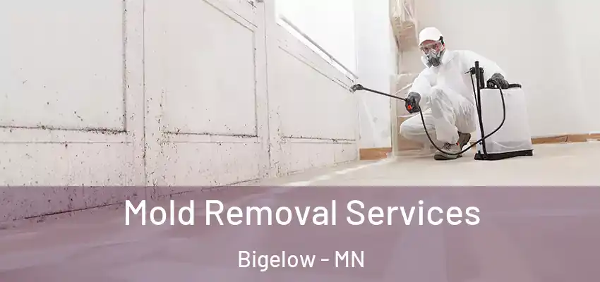  Mold Removal Services Bigelow - MN
