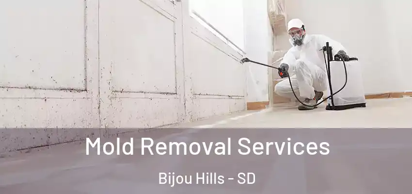 Mold Removal Services Bijou Hills - SD