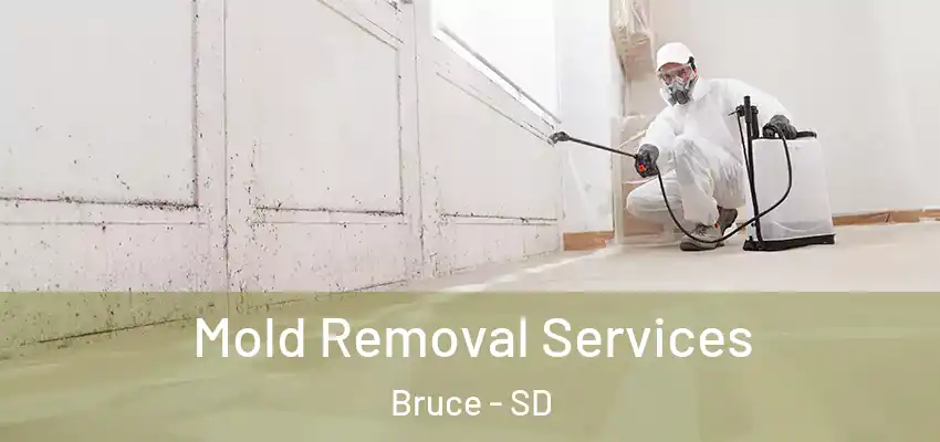  Mold Removal Services Bruce - SD