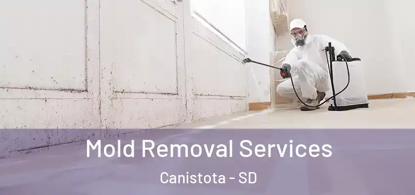 Mold Removal Services Canistota - SD