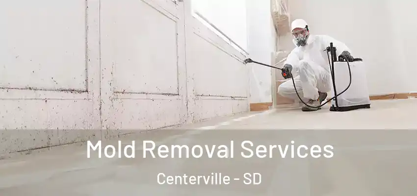  Mold Removal Services Centerville - SD