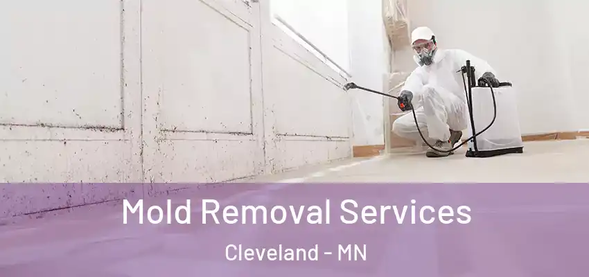 Mold Removal Services Cleveland - MN