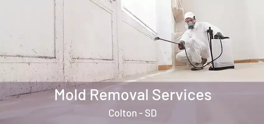 Mold Removal Services Colton - SD