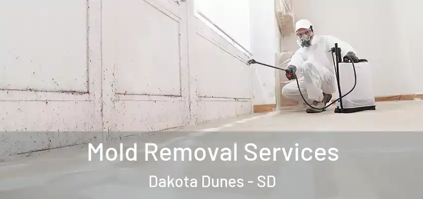  Mold Removal Services Dakota Dunes - SD
