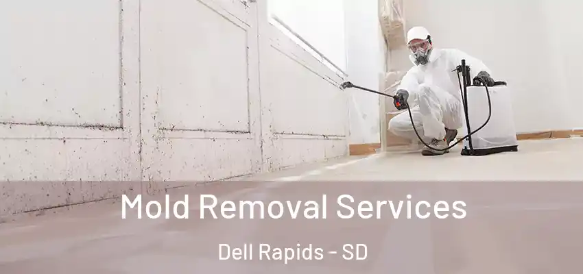  Mold Removal Services Dell Rapids - SD