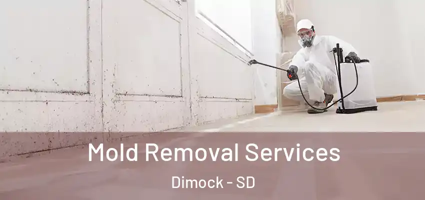 Mold Removal Services Dimock - SD