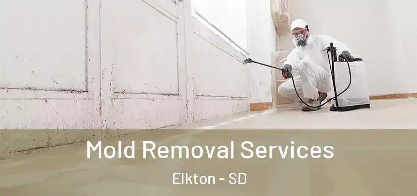 Mold Removal Services Elkton - SD