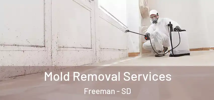 Mold Removal Services Freeman - SD