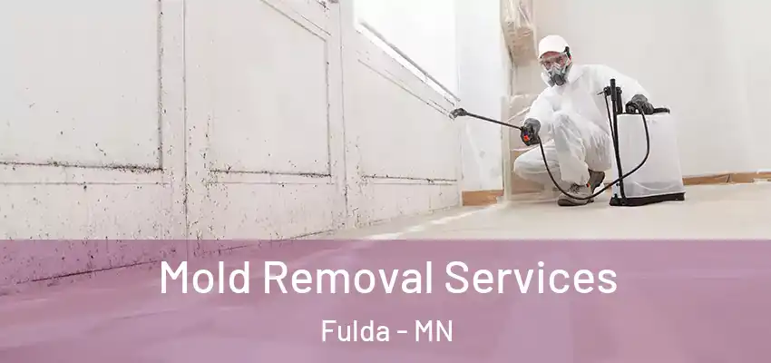 Mold Removal Services Fulda - MN