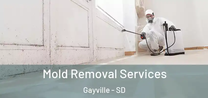 Mold Removal Services Gayville - SD