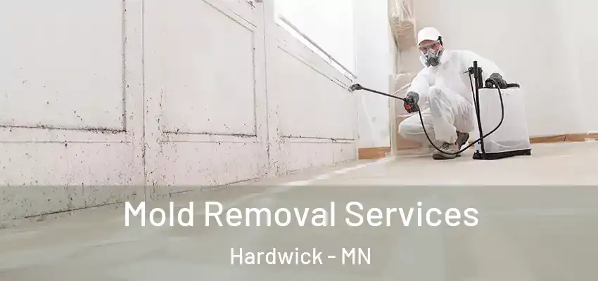  Mold Removal Services Hardwick - MN