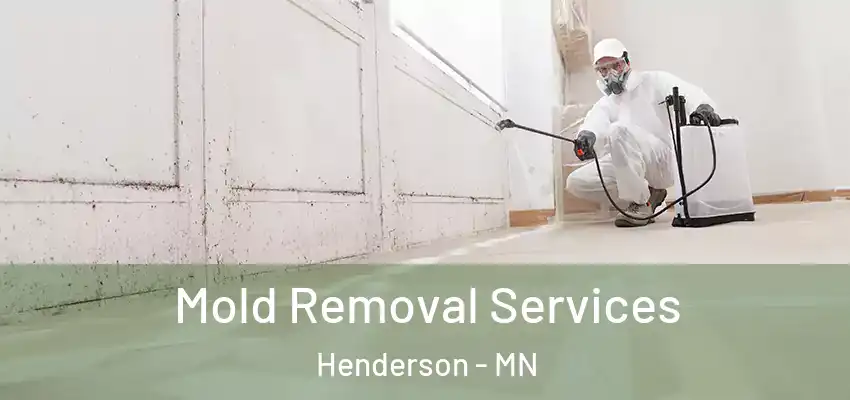 Mold Removal Services Henderson - MN
