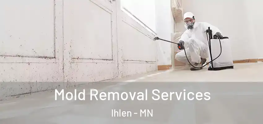  Mold Removal Services Ihlen - MN