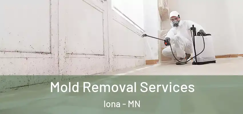 Mold Removal Services Iona - MN