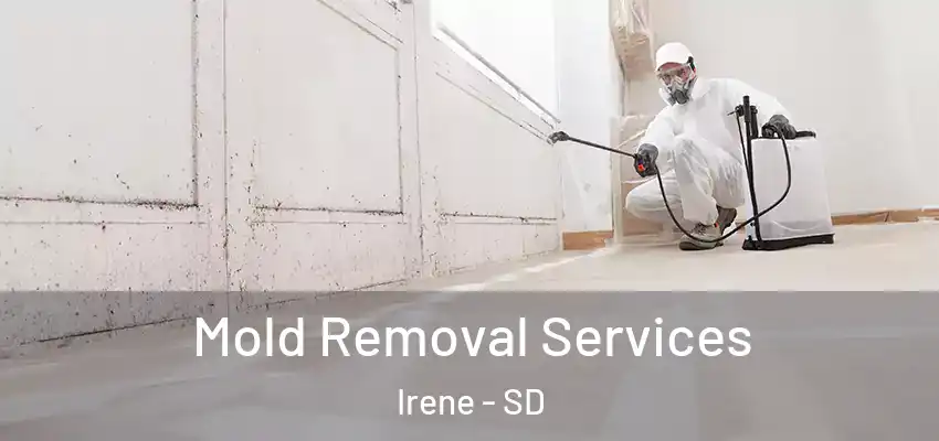 Mold Removal Services Irene - SD