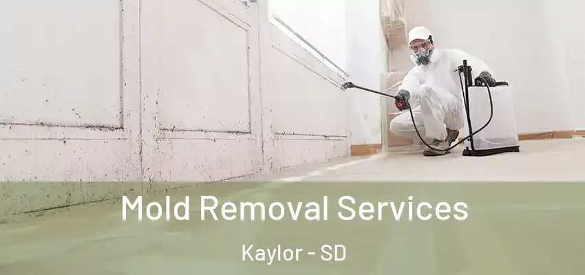 Mold Removal Services Kaylor - SD
