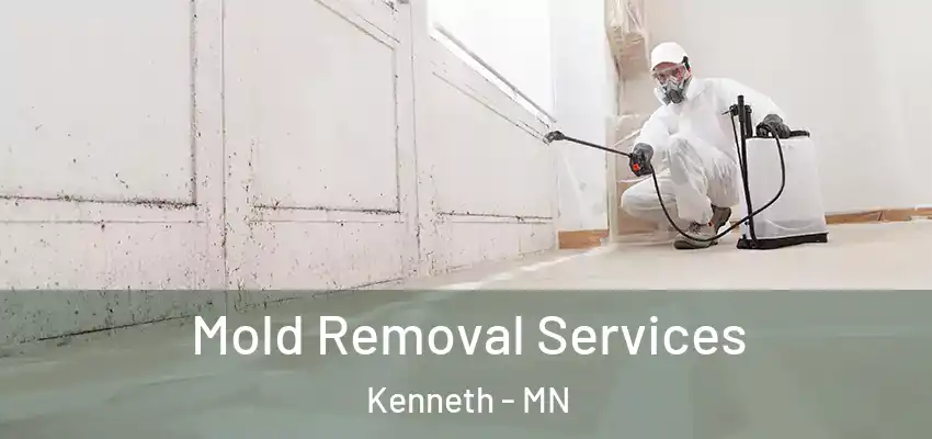  Mold Removal Services Kenneth - MN
