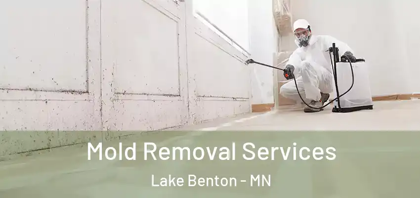 Mold Removal Services Lake Benton - MN