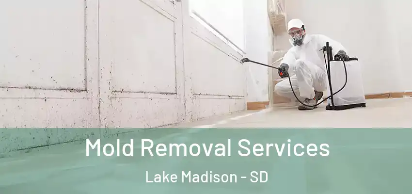 Mold Removal Services Lake Madison - SD